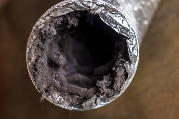 Best Affordable Air Duct Cleaning  in Hewlett Harbor, NY